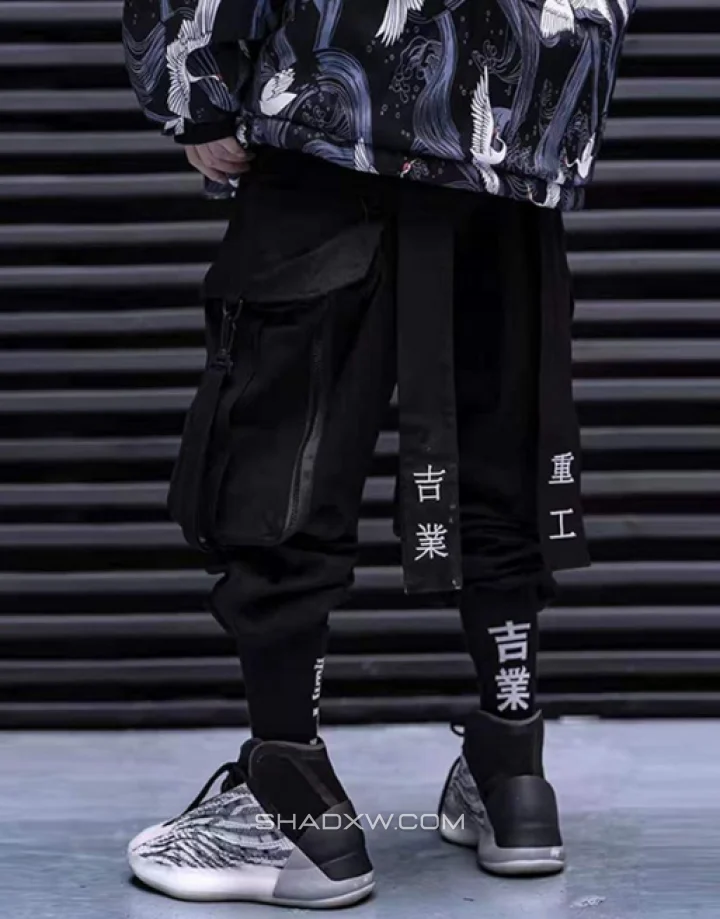 Japanese Techwear Pants - Image 3