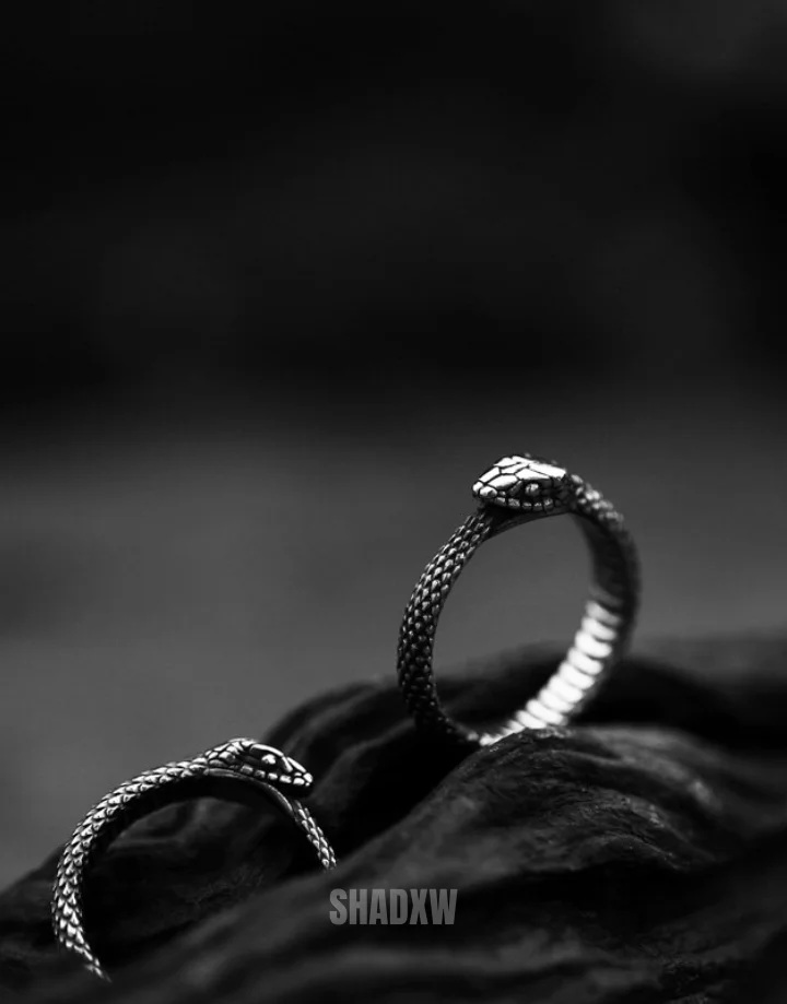 Ouroboros Ring - Image 15