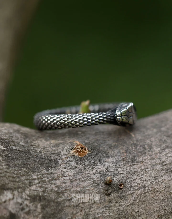 Ouroboros Ring - Image 5